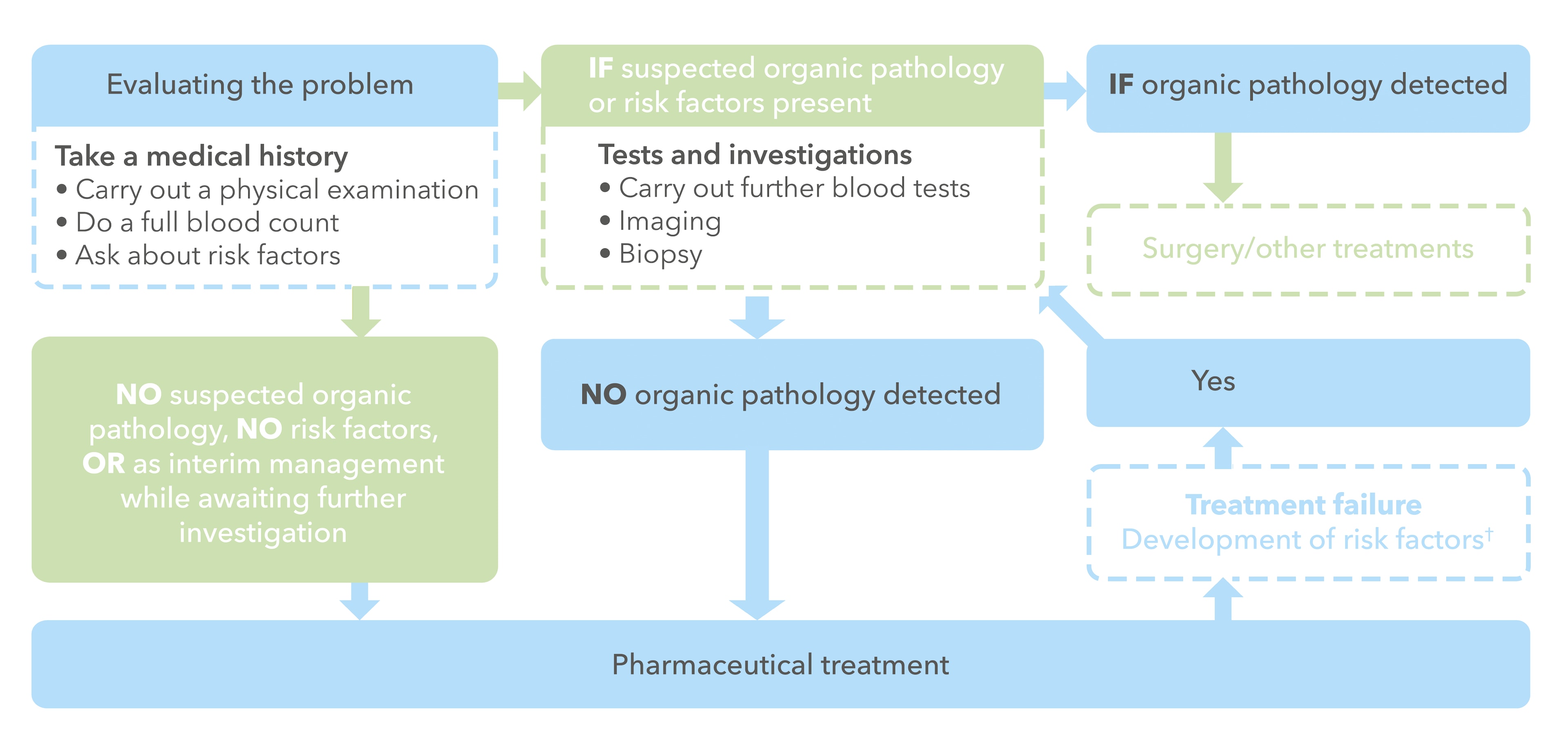 HMB diagnostic pathway